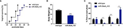 miR-29a/b1 Regulates the Luteinizing Hormone Secretion and Affects Mouse Ovulation